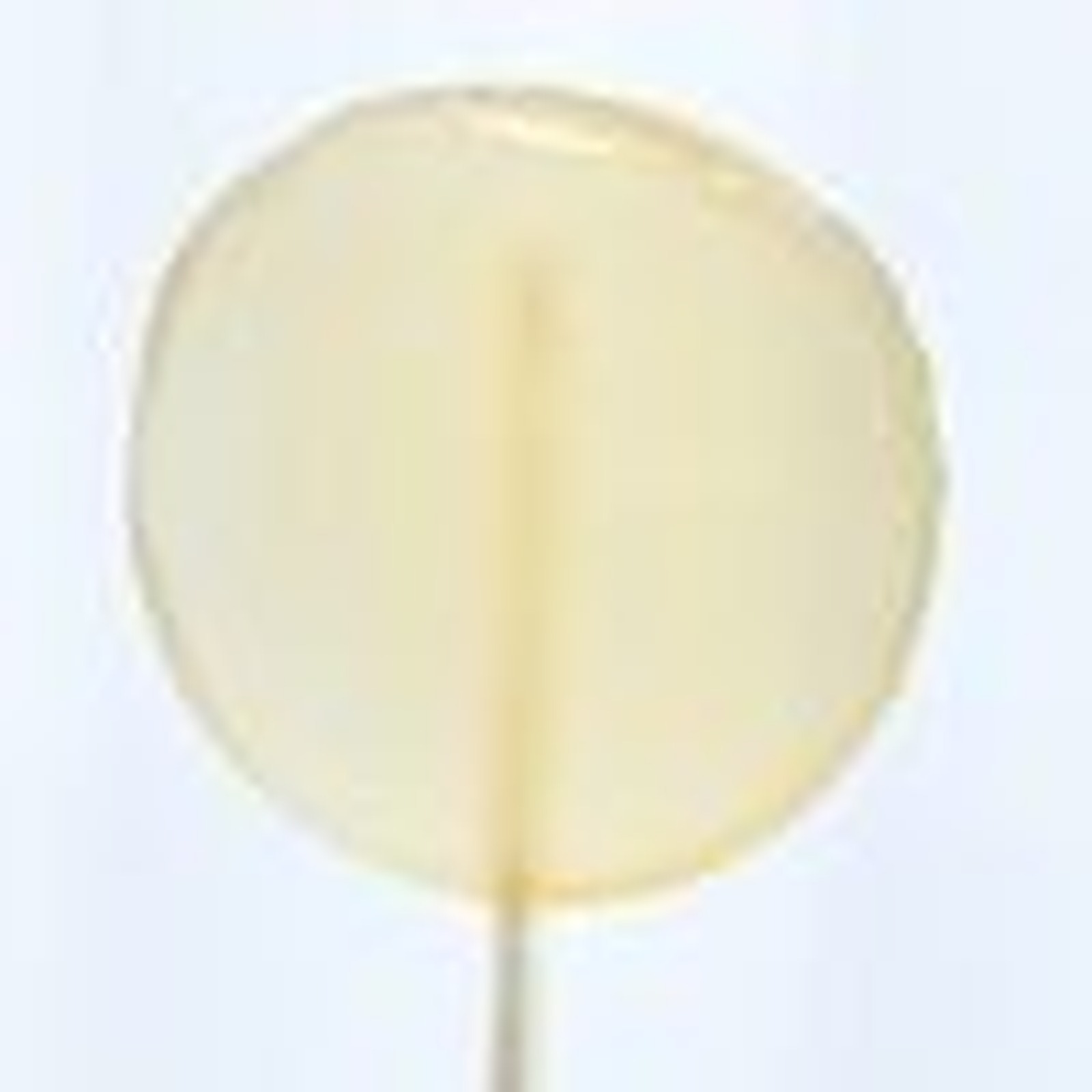 Brenda's - Infused Lollipop